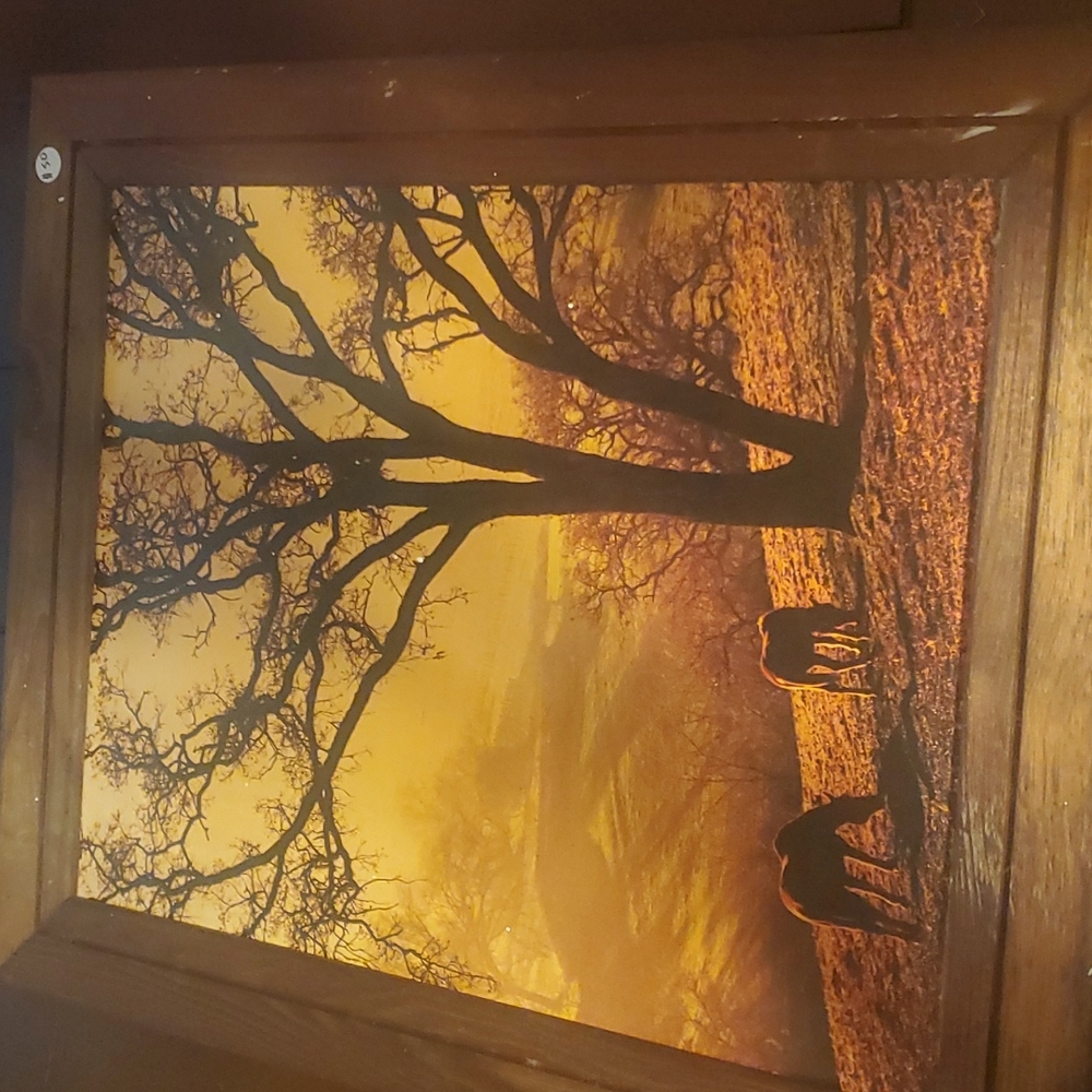 Pictures frame